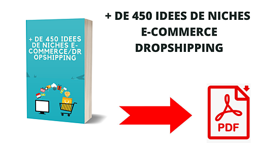 fournir un e-book contenant plus de 450 idées de niche e-commerce
