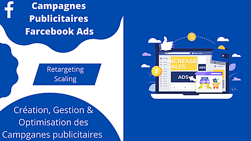 créer, gérer et optimiser vos campagnes publicitaires FACEBOOK Ads.